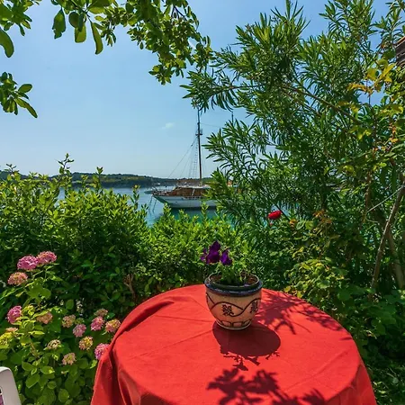 Vera Апартаменты