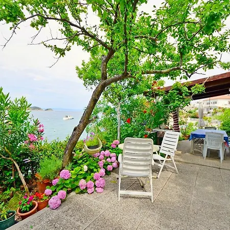 Vera * Супетарска-Драга